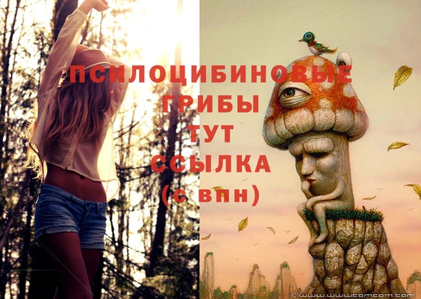 меф Баксан