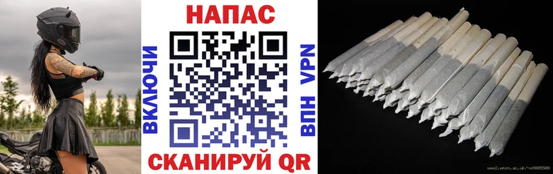 Купить  Курчатов  Бошки марихуана конопля 
